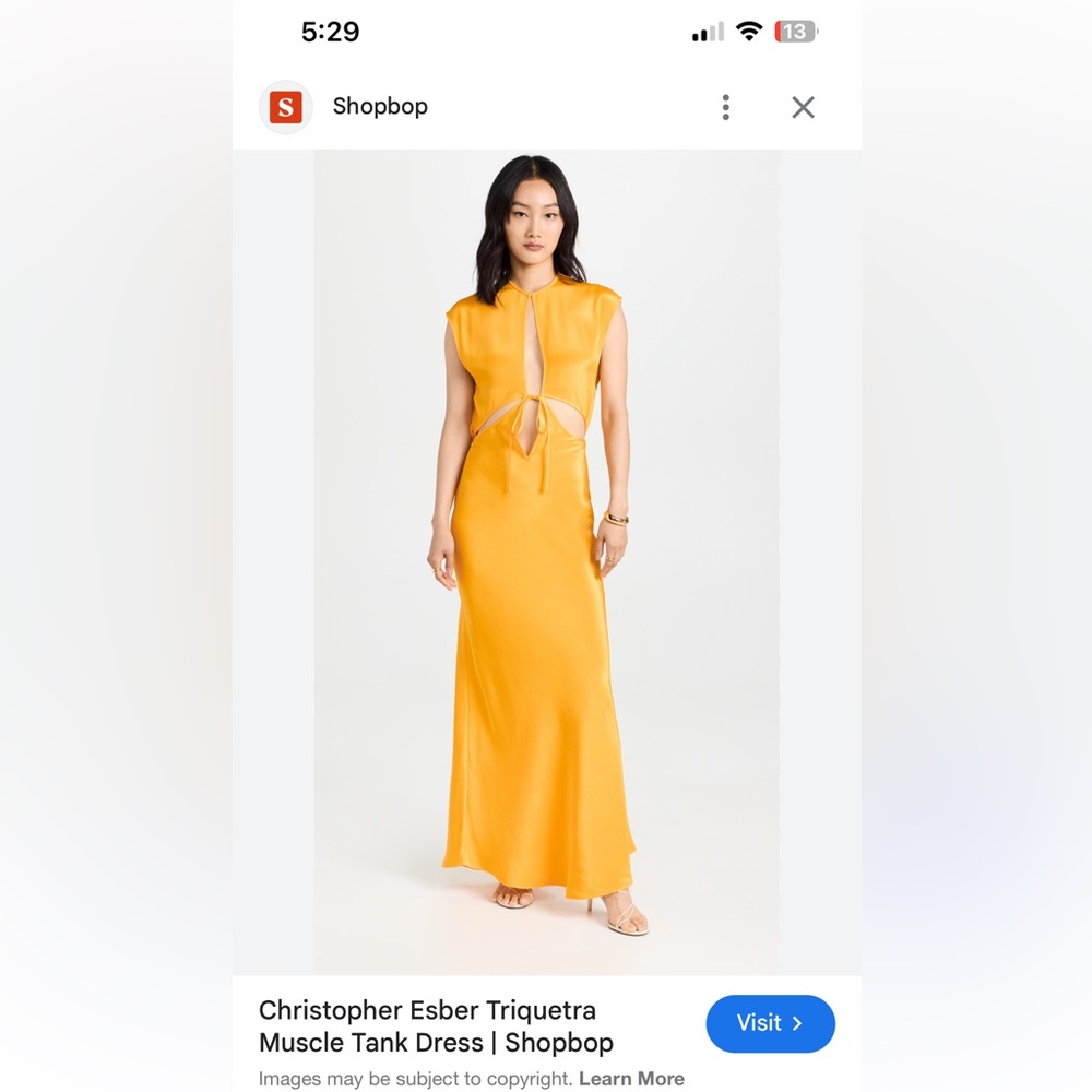 Christopher Esber Cut Out Dress
au 8